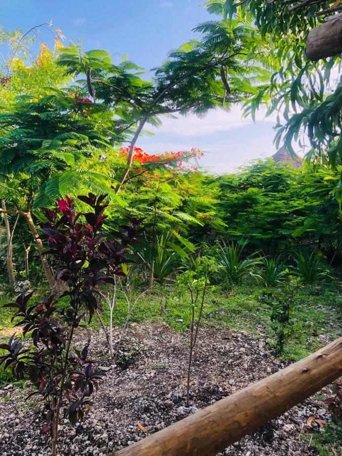 The Dream Garden Bed & Breakfast