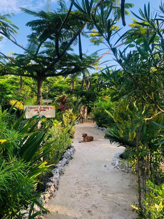 Bed & Breakfast The Dream Garden *