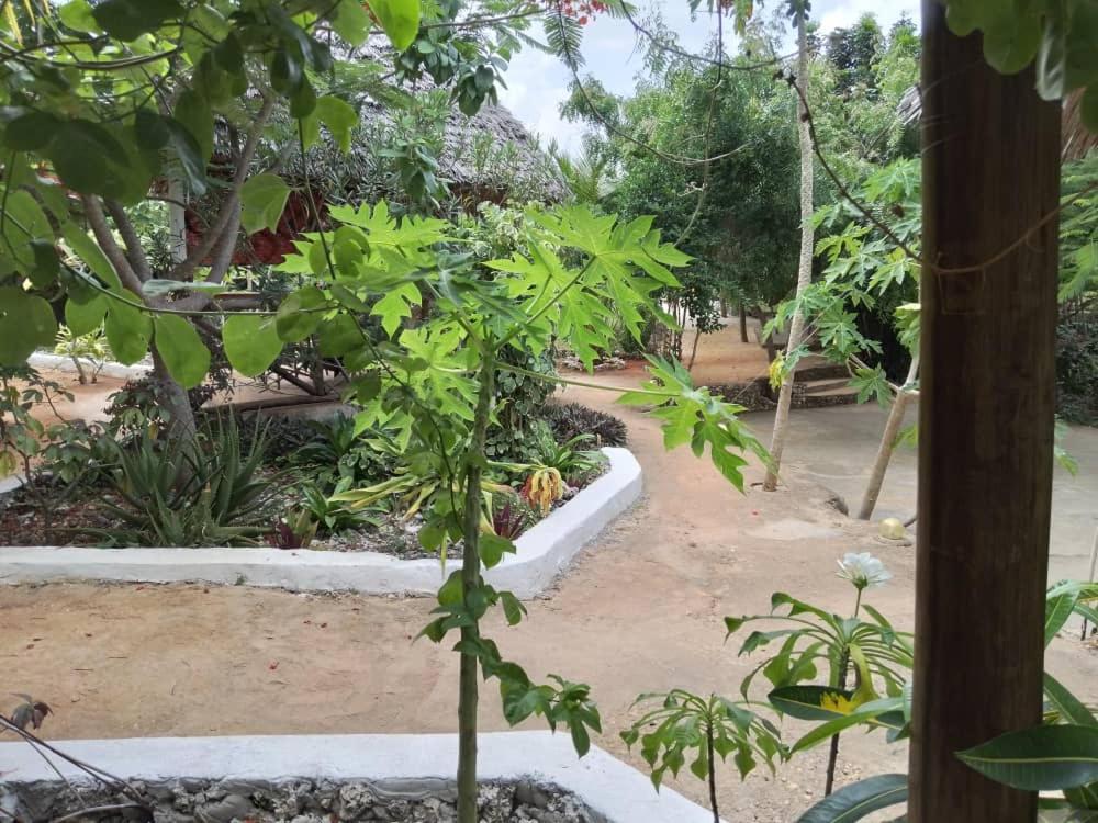 The Dream Garden Bed & Breakfast