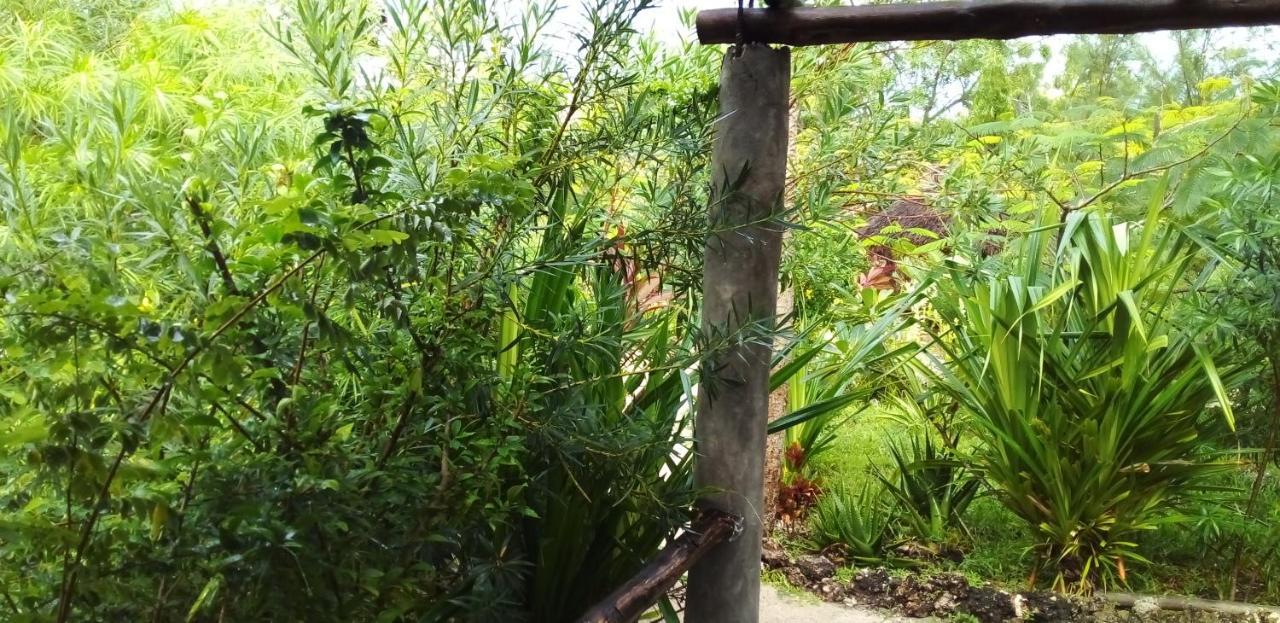 Bed & Breakfast The Dream Garden *
