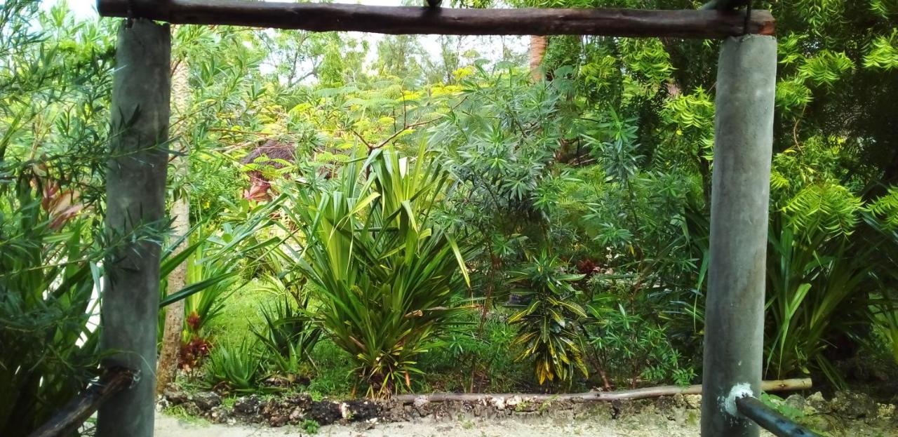 The Dream Garden * Kizimkazi