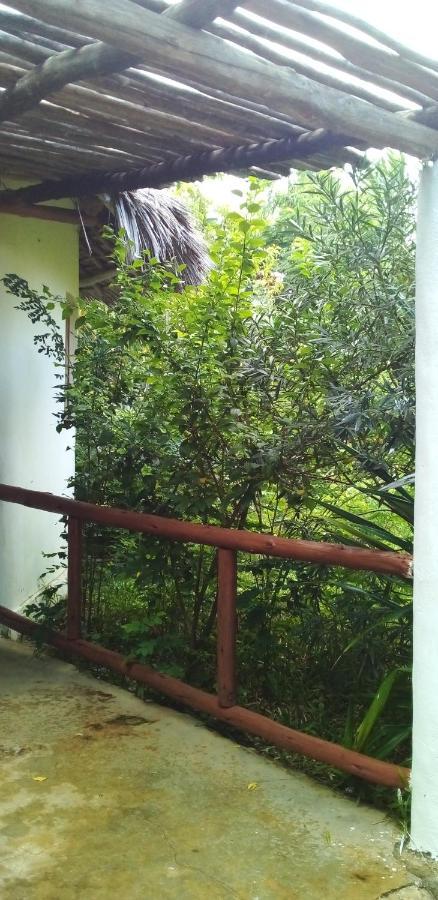 Bed & Breakfast The Dream Garden