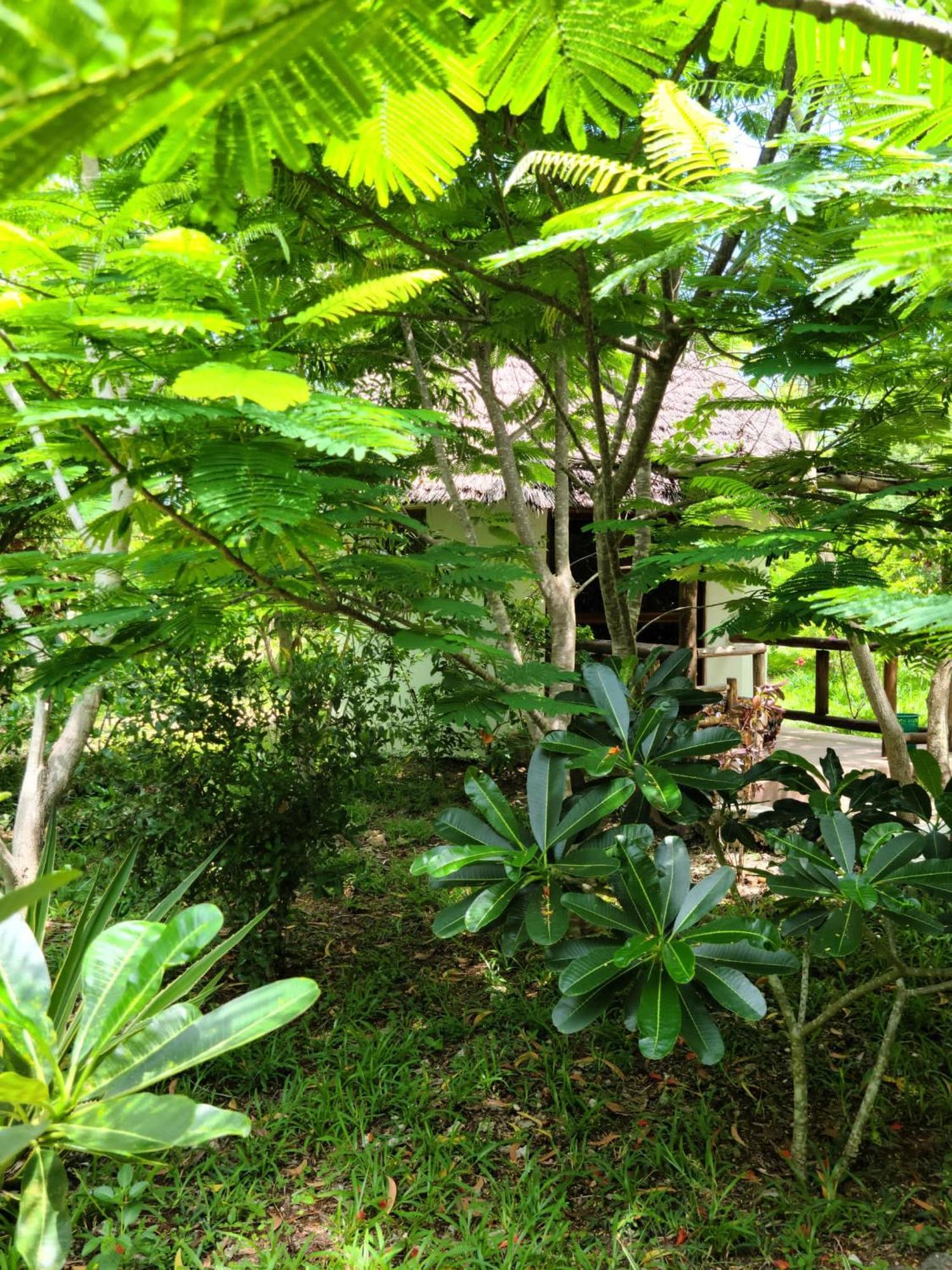 Bed & Breakfast The Dream Garden Kizimkazi