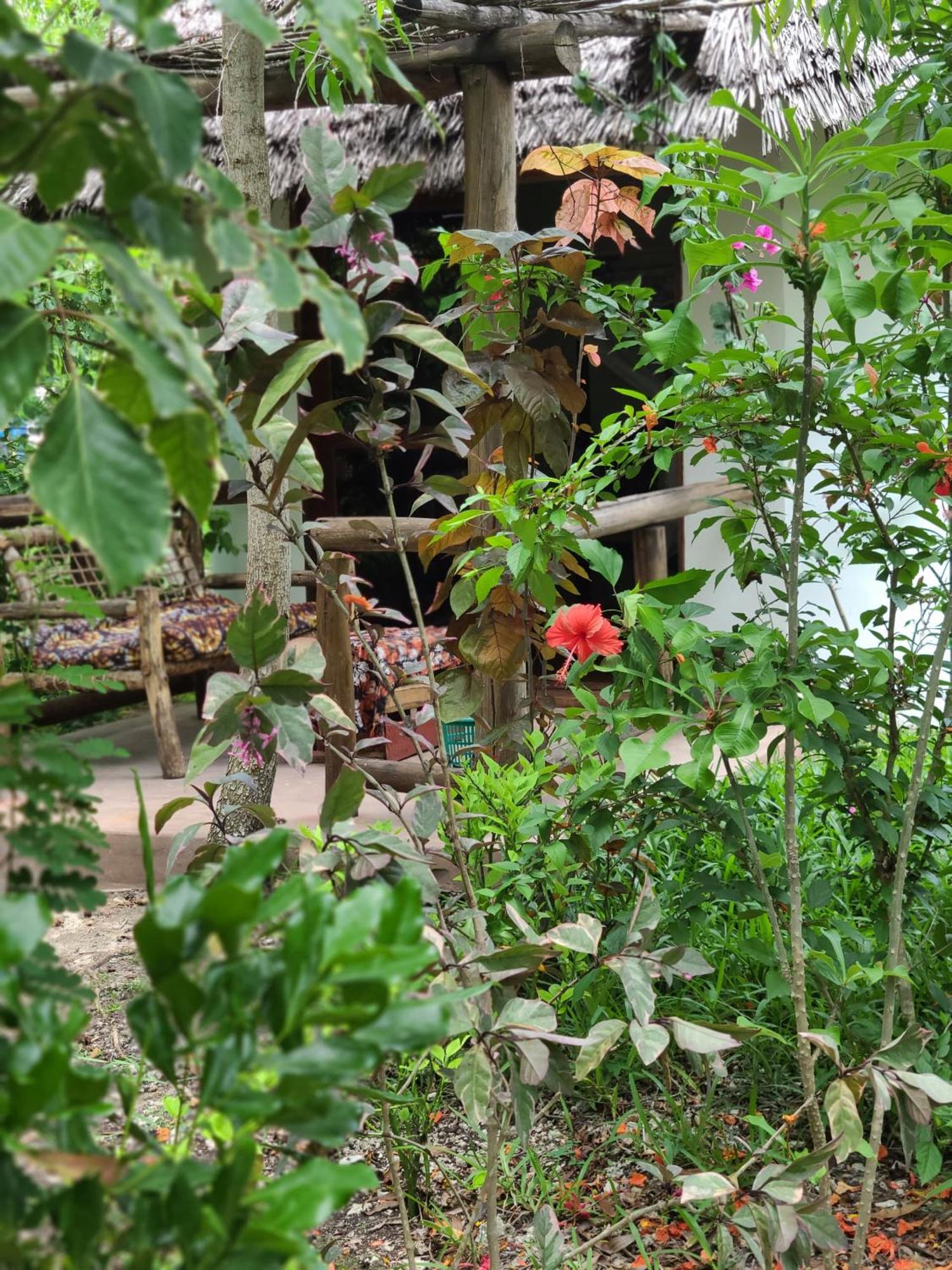 The Dream Garden